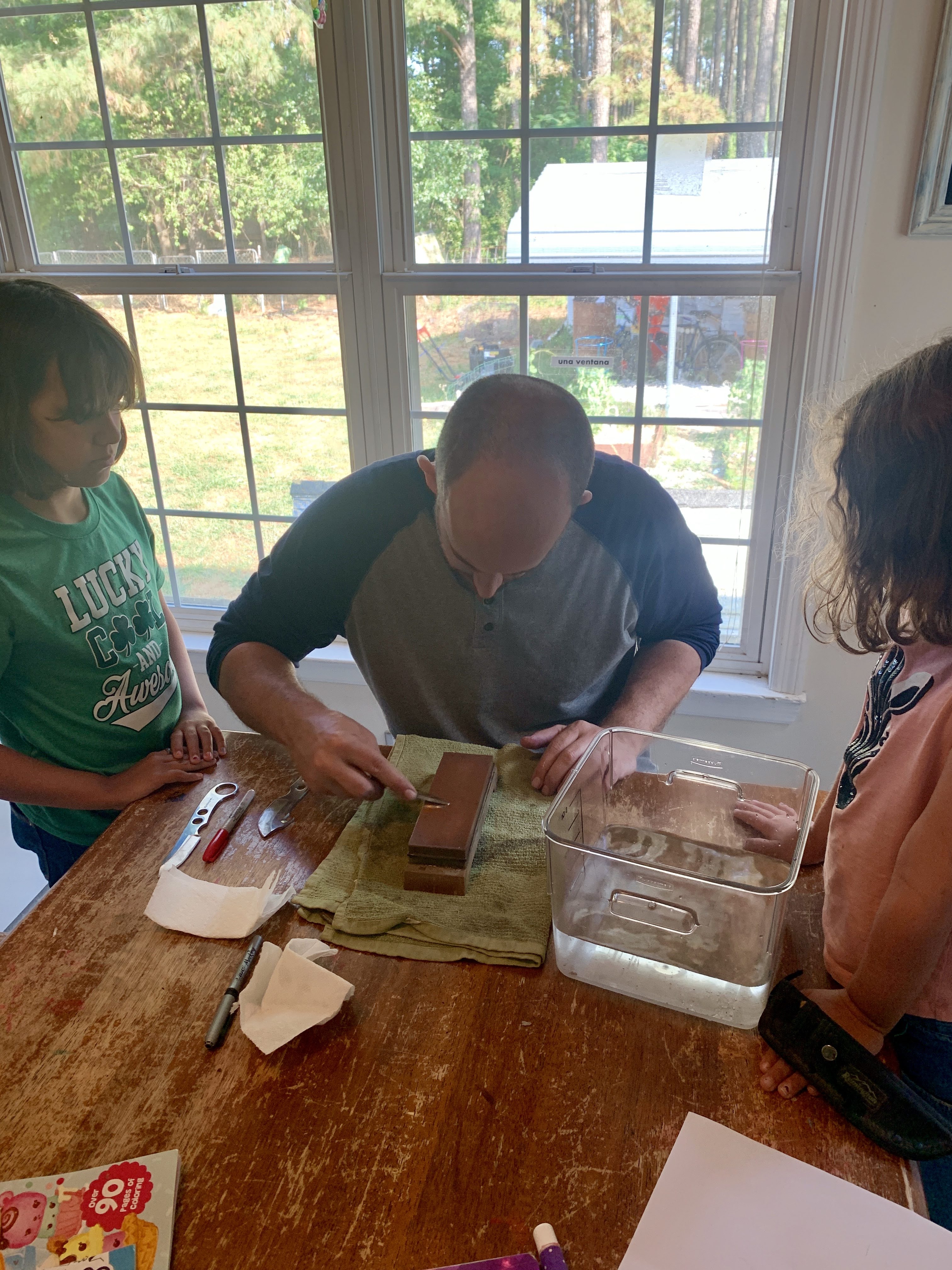 rabbit processing